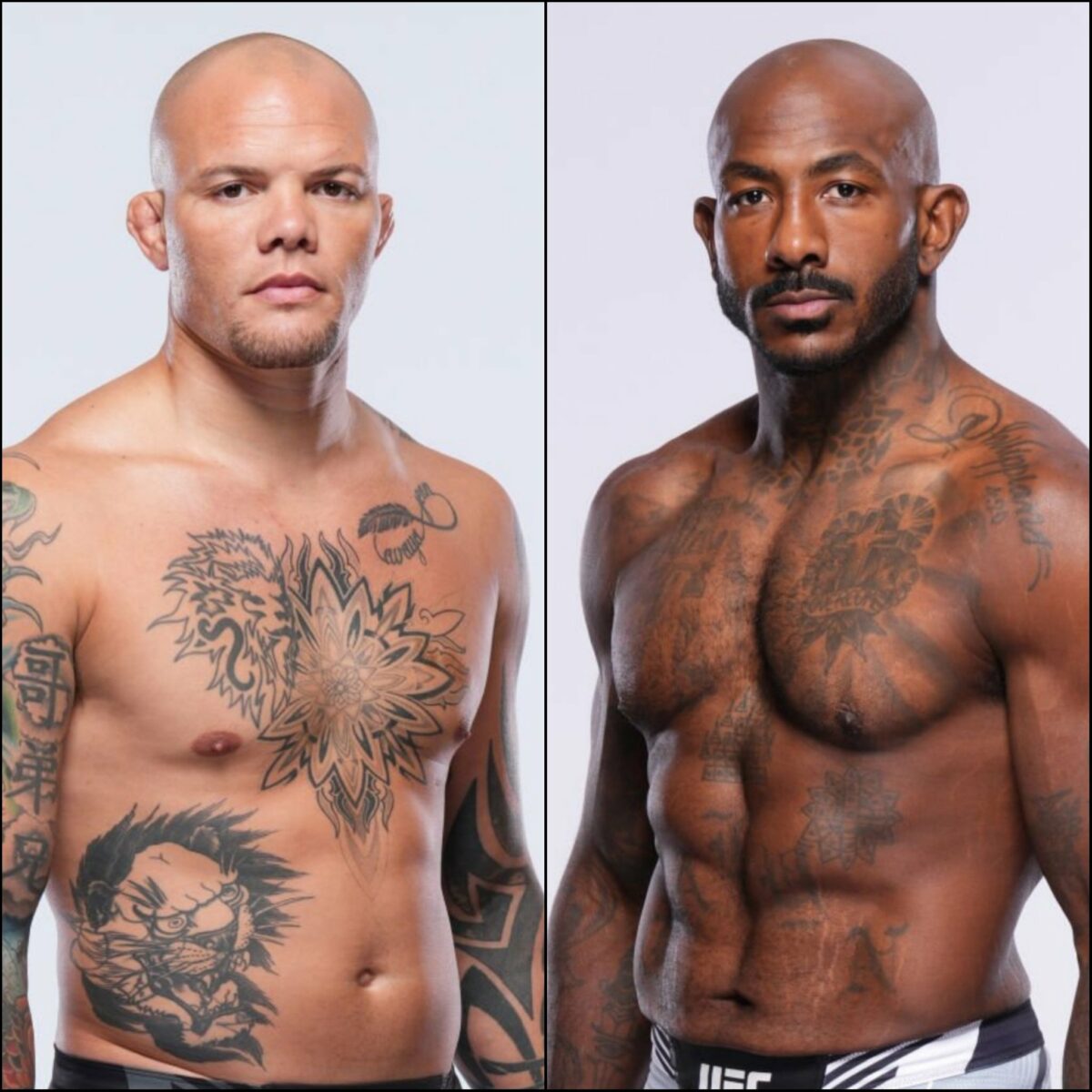 Smith x Rountree: palpites, onde assistir e onde apostar – UFC Vegas 83