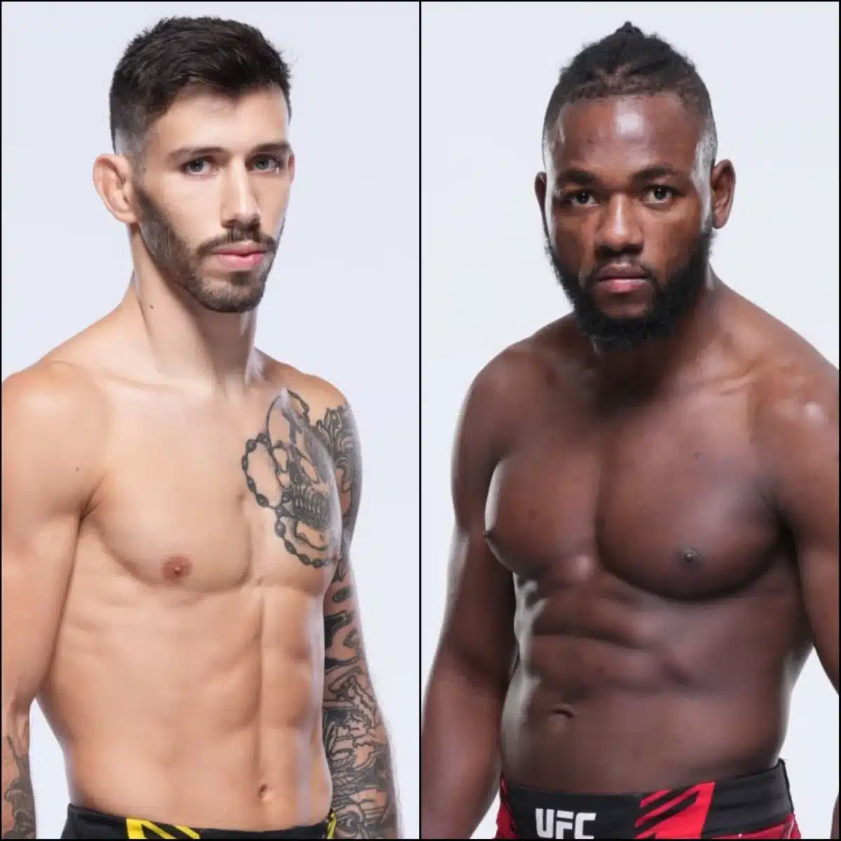 Nicolau x Kape: palpites, onde assistir e onde apostar – UFC Vegas 84