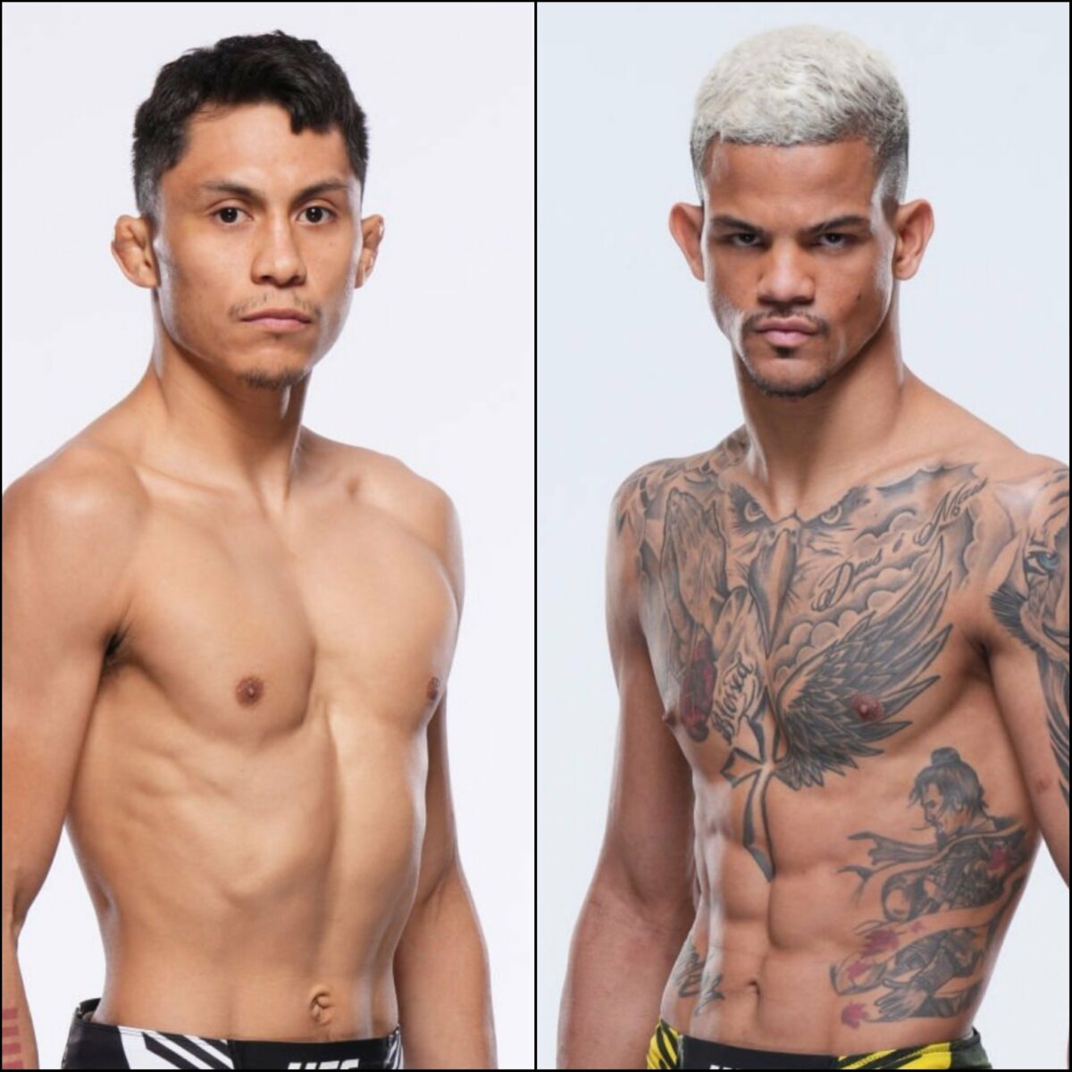 Altamirano x Dos Santos: palpites, onde assistir e onde apostar – UFC México (24/02)
