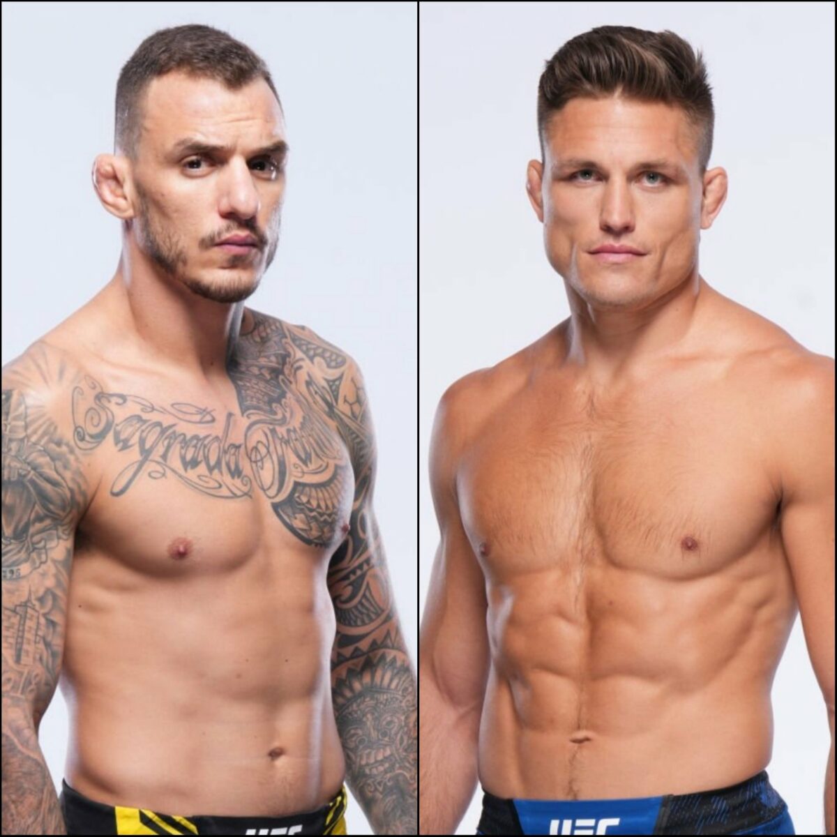 Moicano x Dober: palpites, onde assistir e onde apostar – UFC Vegas 85