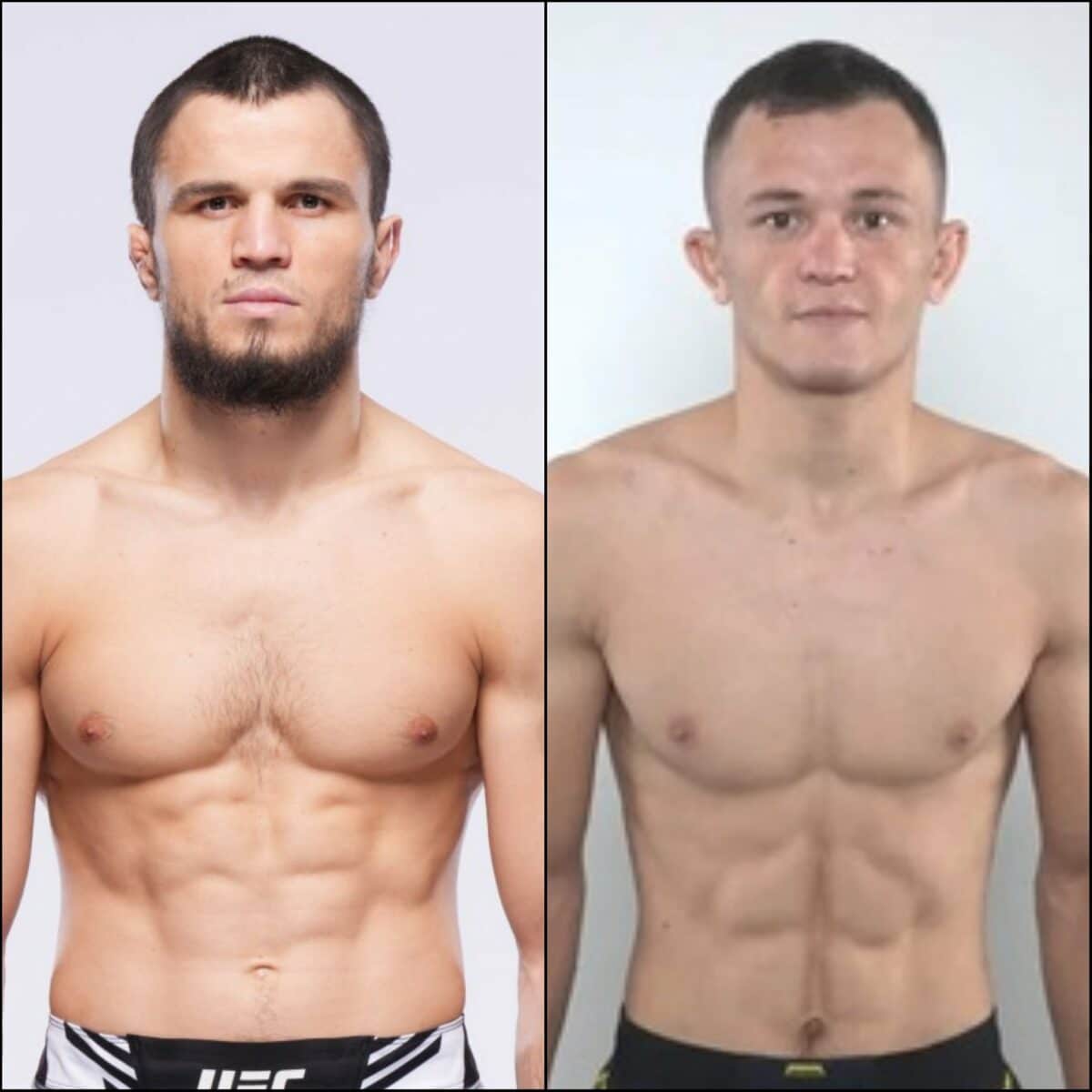 Nurmagomedov x Almakhan: palpites, onde assistir e onde apostar – UFC Vegas 87 (02/03)