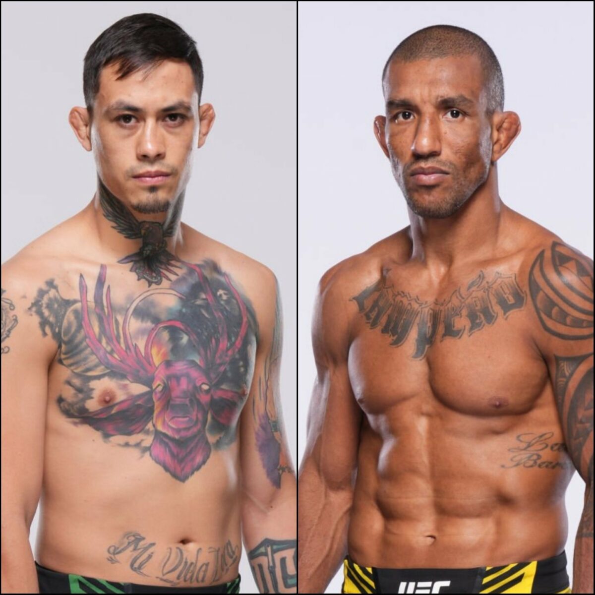 Quiñonez x Barcelos: palpites, onde assistir e onde apostar – UFC México (24/02)