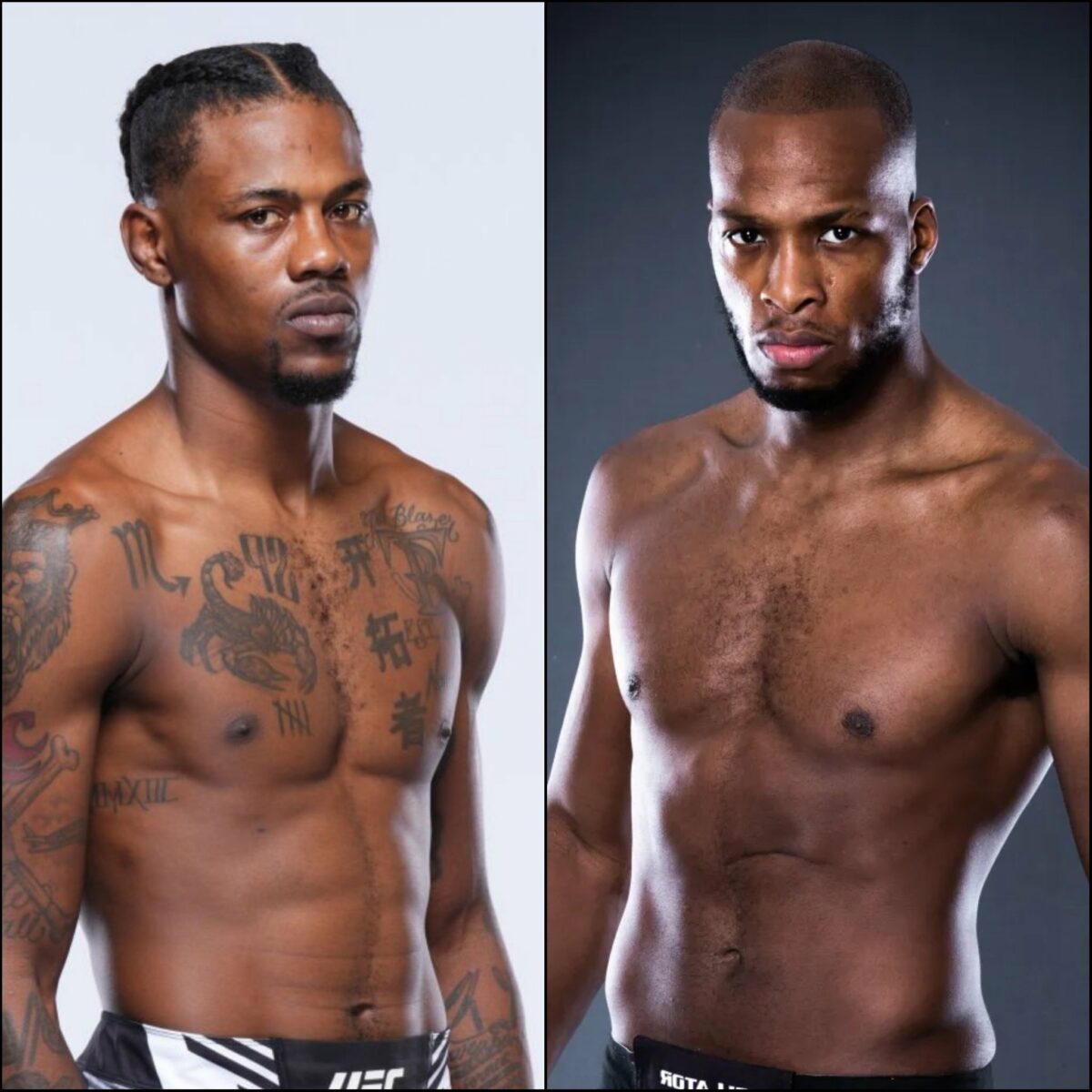 Holland x Page: palpites, onde assistir e onde apostar – UFC 299 (09/03)
