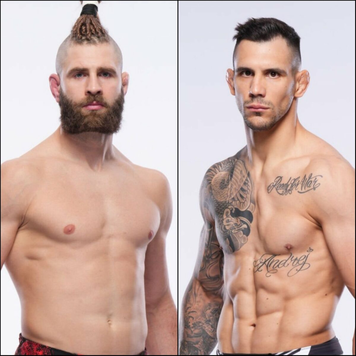 Prochazka x Rakic: palpites, onde assistir e onde apostar – UFC 300 (13/04)