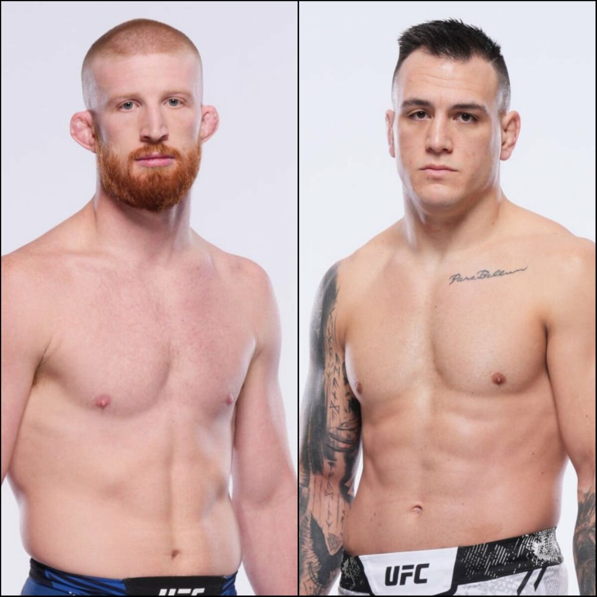 Nickal x Brundage: palpites, onde assistir e onde apostar – UFC 300 (13/04)