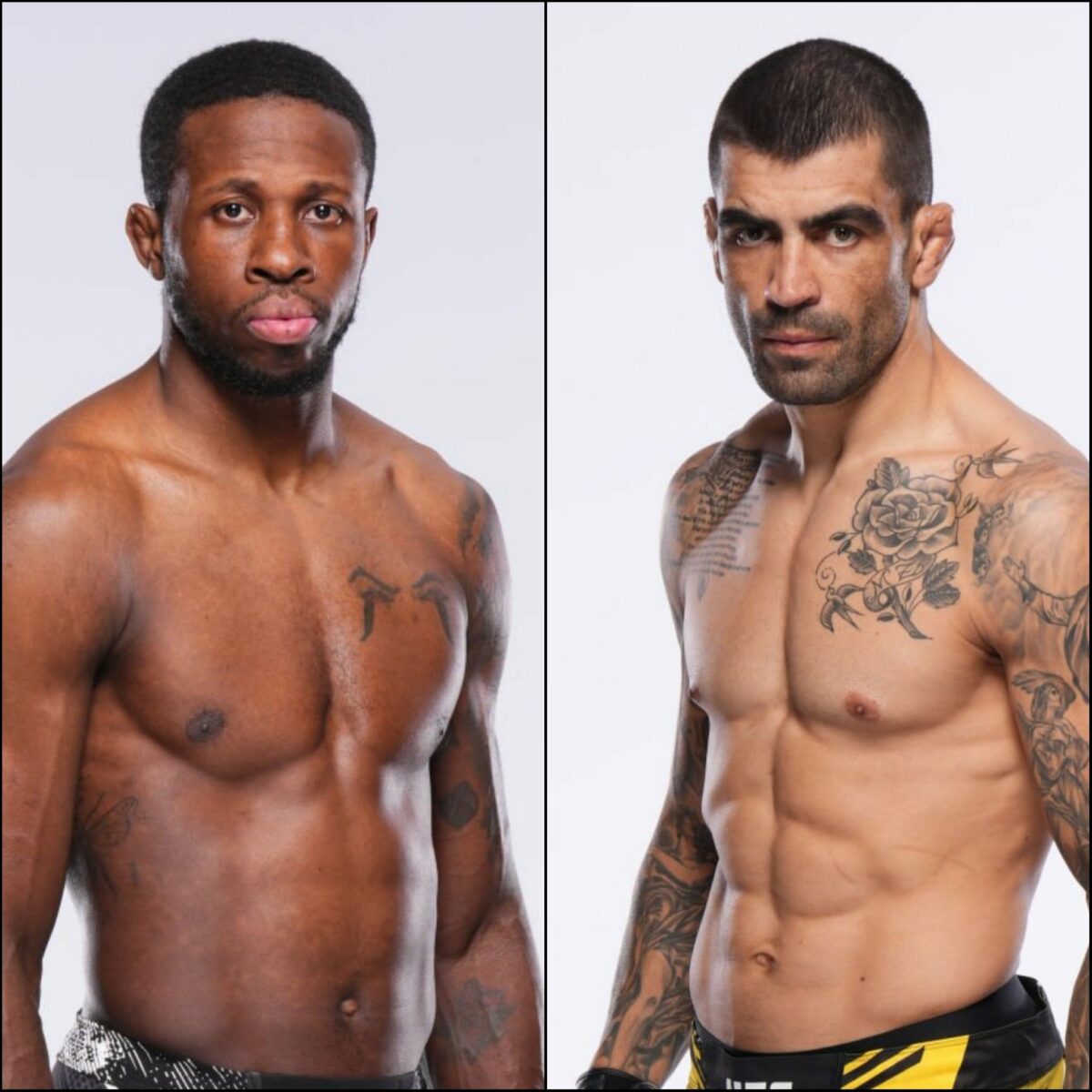 Brown x Zaleski dos Santos: palpites, onde assistir e card completo – UFC 302 (01/06)
