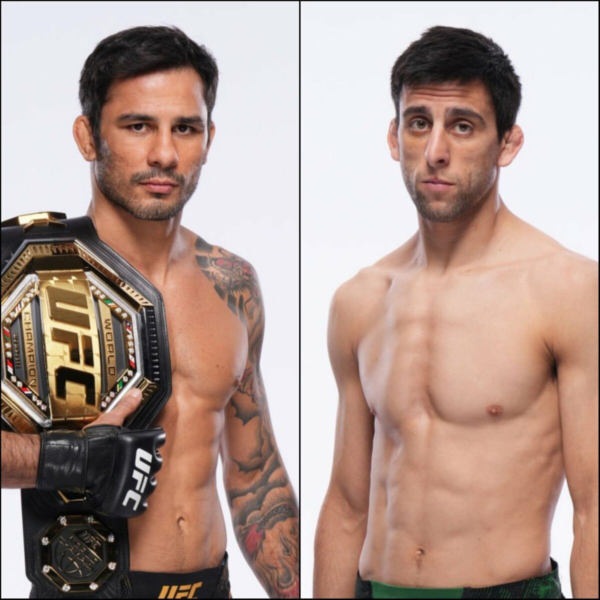 Pantoja x Erceg: palpites, onde assistir e card completo – UFC 301 (04/05)