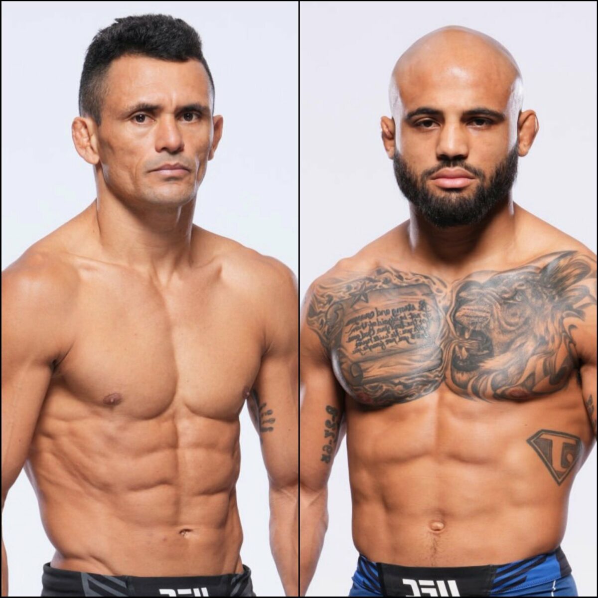 Douglas Silva x Miles Johns: palpites, onde assistir e card completo – UFC Vegas 93 (15/06)