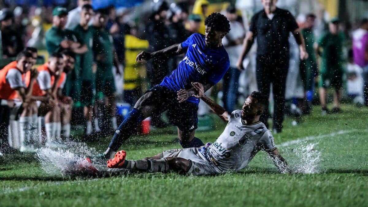 As zebras da temporada 2024 no futebol brasileiro