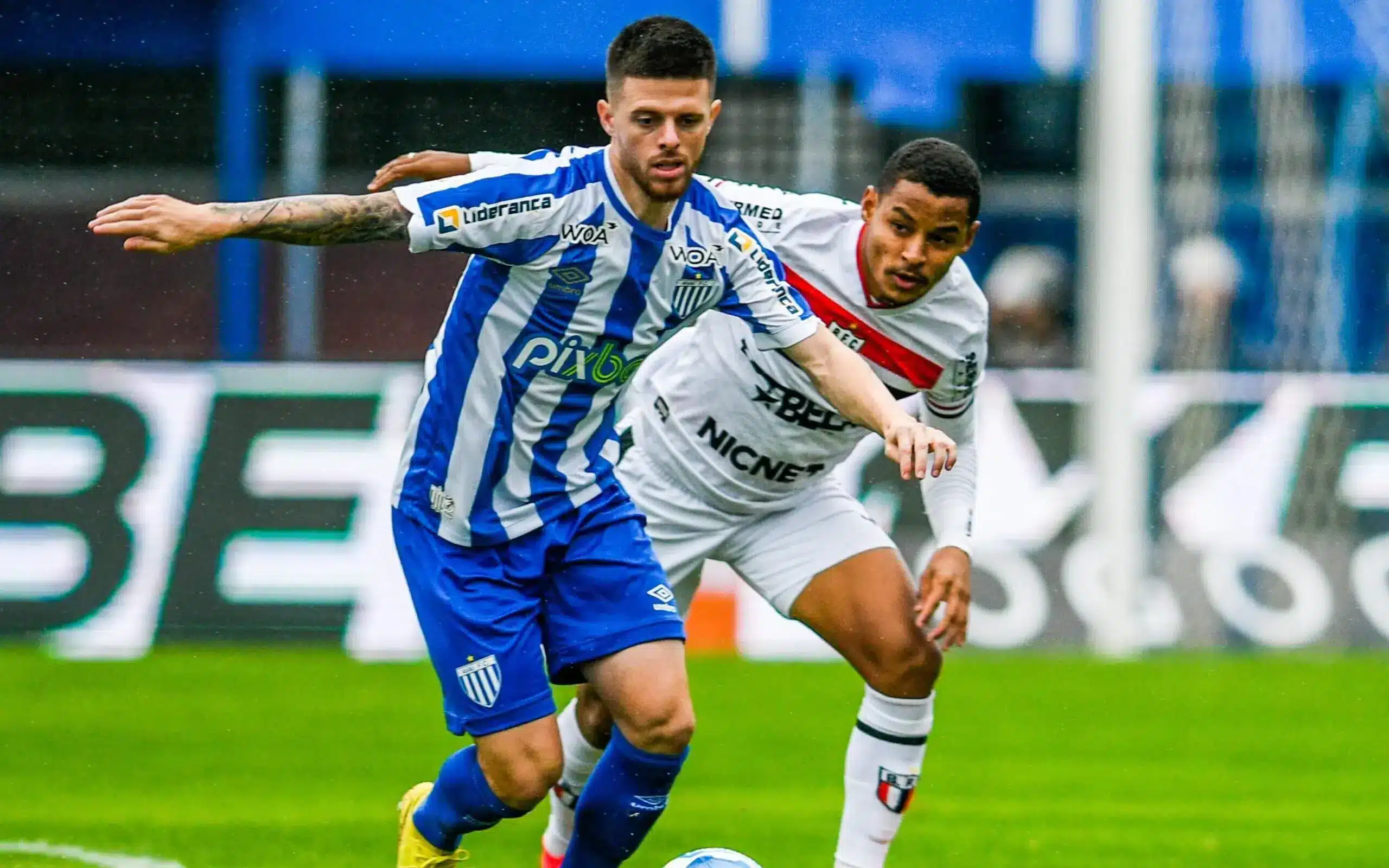 Botafogo-SP x Avaí: palpites, onde assistir e escalações – Campeonato Brasileiro Série B (18/11)